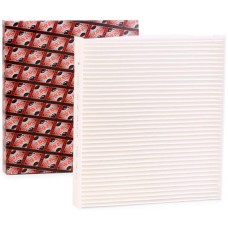 ASHIKA 21-NS-NS4 Cabin/Pollen Filter for Nissan & Infiniti